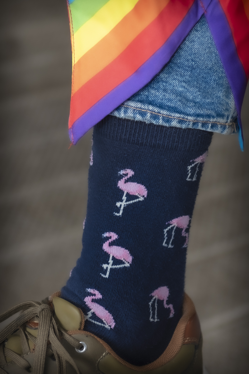 Johan Meester / Foto: MacSiers Imaging