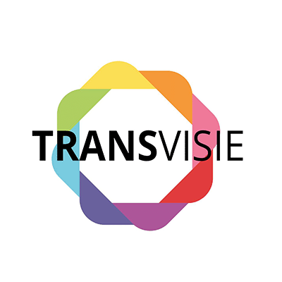 Transvisie